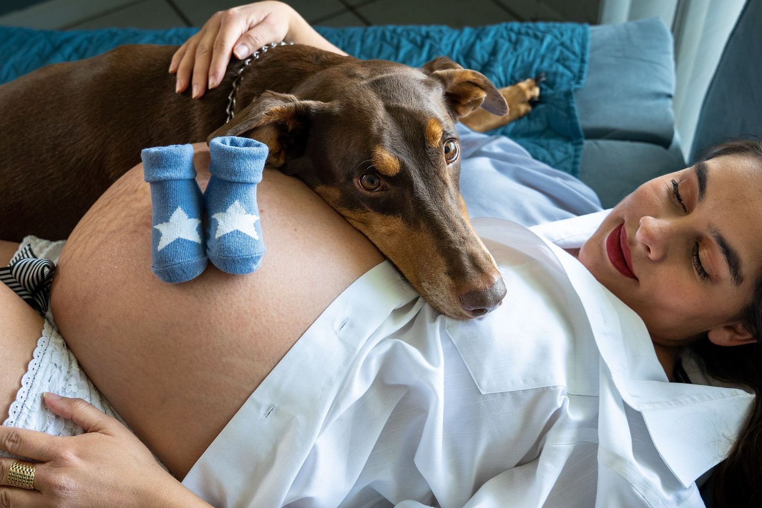 Dog resting its head on its expecting owner's belly, tiny baby socks laid out beside them